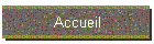 Accueil