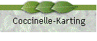 Coccinelle-Karting